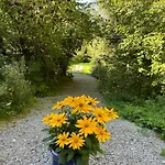 Am Wildbach Bei Passau *
