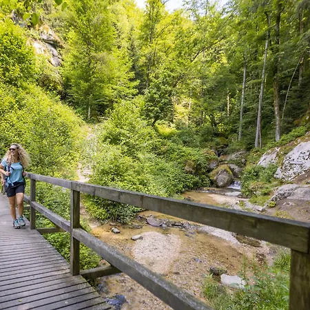 Am Wildbach Bei Passau