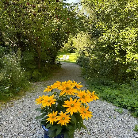 Am Wildbach Bei Passau *