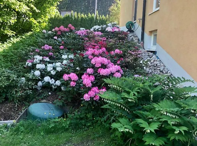 Am Wildbach Bei Passau Lejlighed *