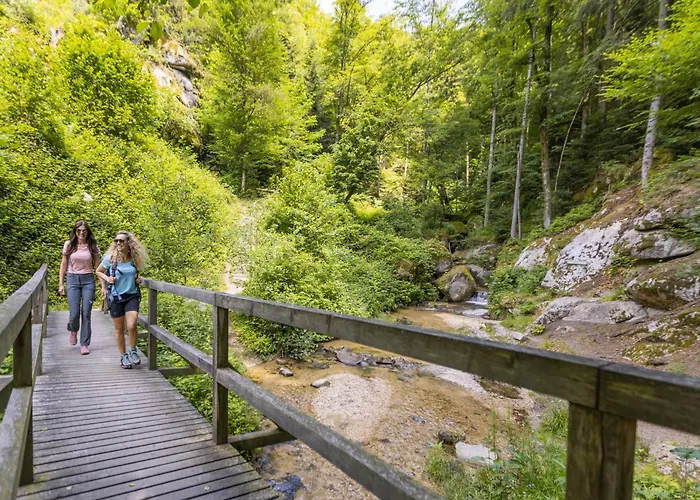 Am Wildbach Bei Passau