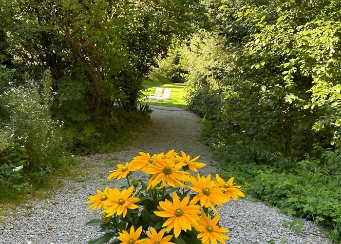 Am Wildbach Bei Passau *