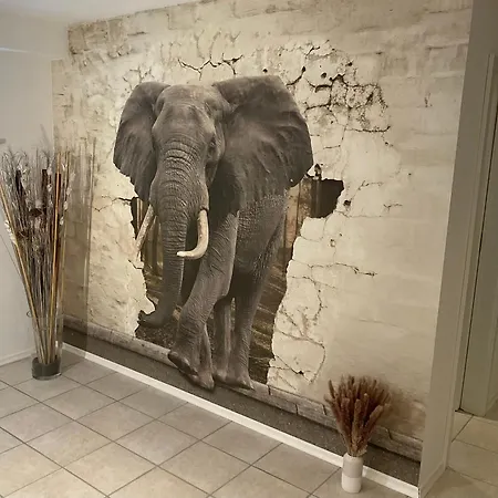 Am Wildbach Bei Passau *