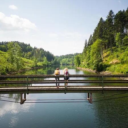 Am Wildbach Bei Passau Apartment *